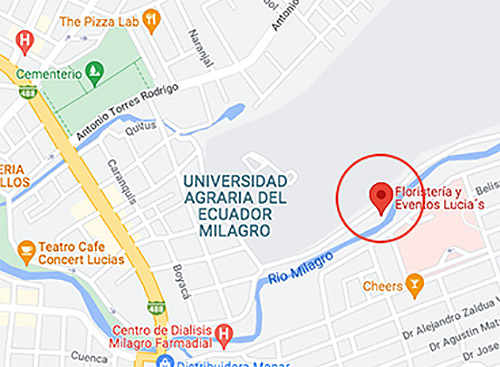 Eventos Lucias - Milagro Ecuador